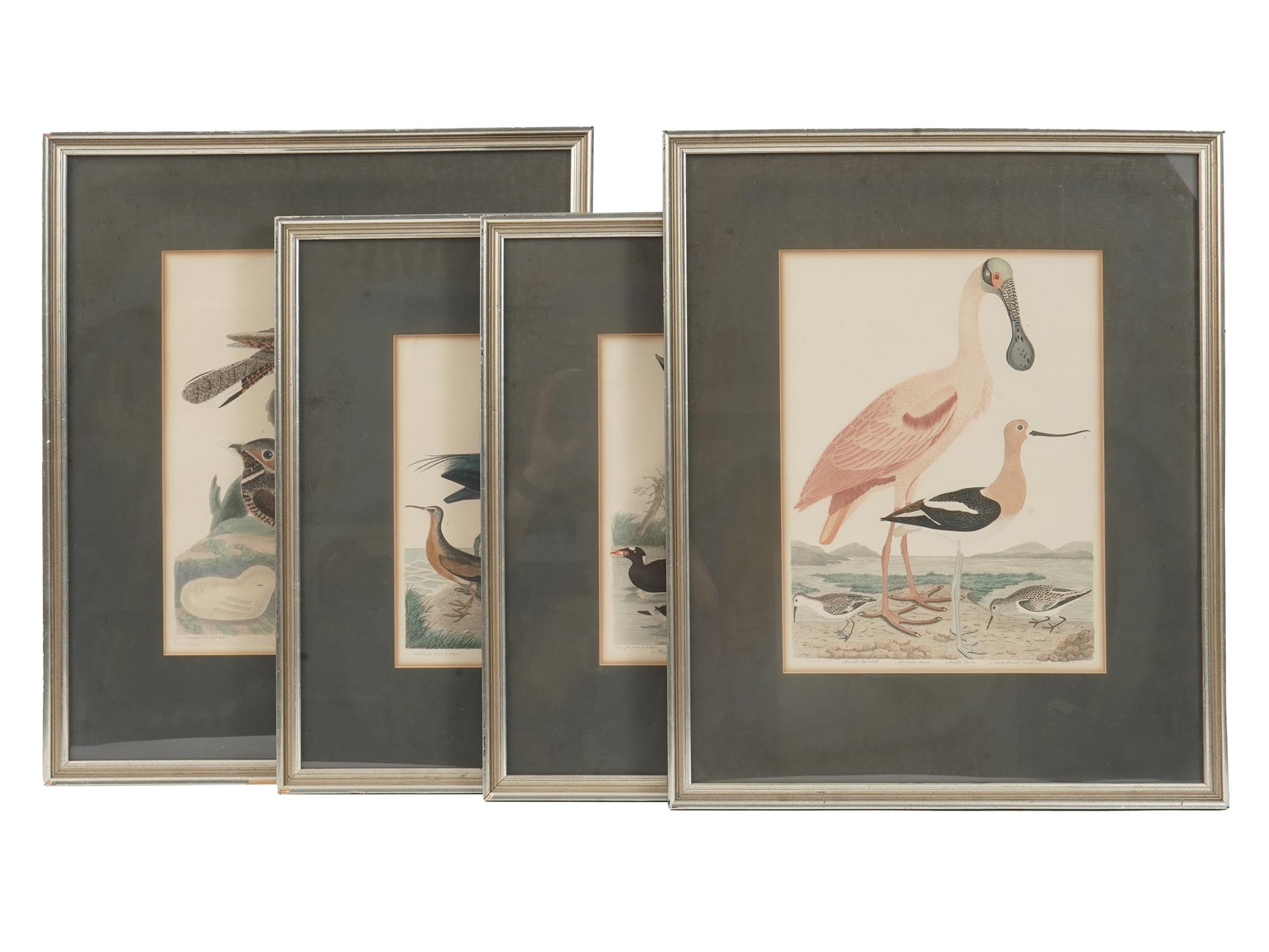 FOUR COLOR LITHOGRAPHS BIRDS BY ALEXANDER LAWSON PIC-0